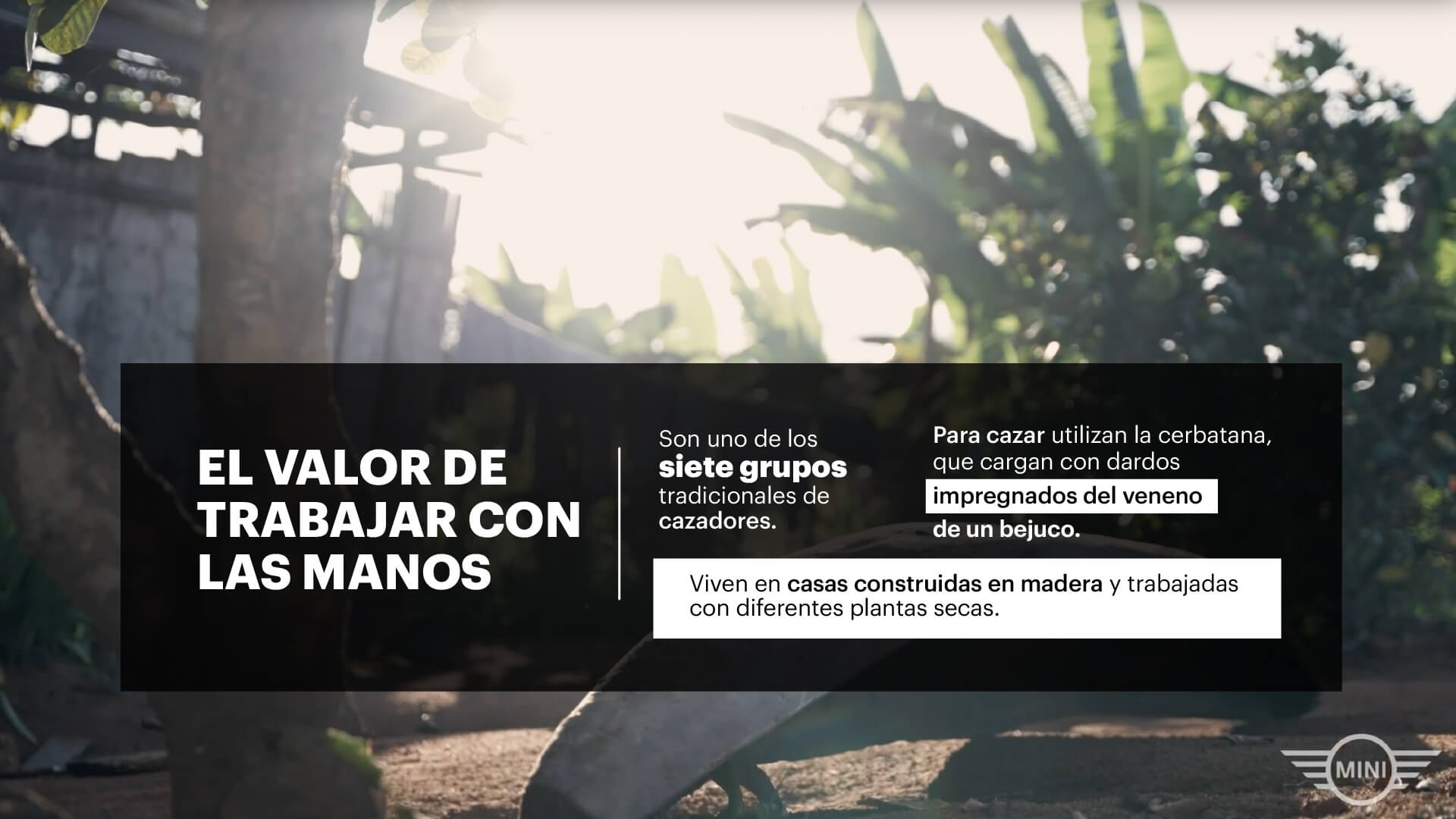 El homenaje de MINI a la diversidad colombiana