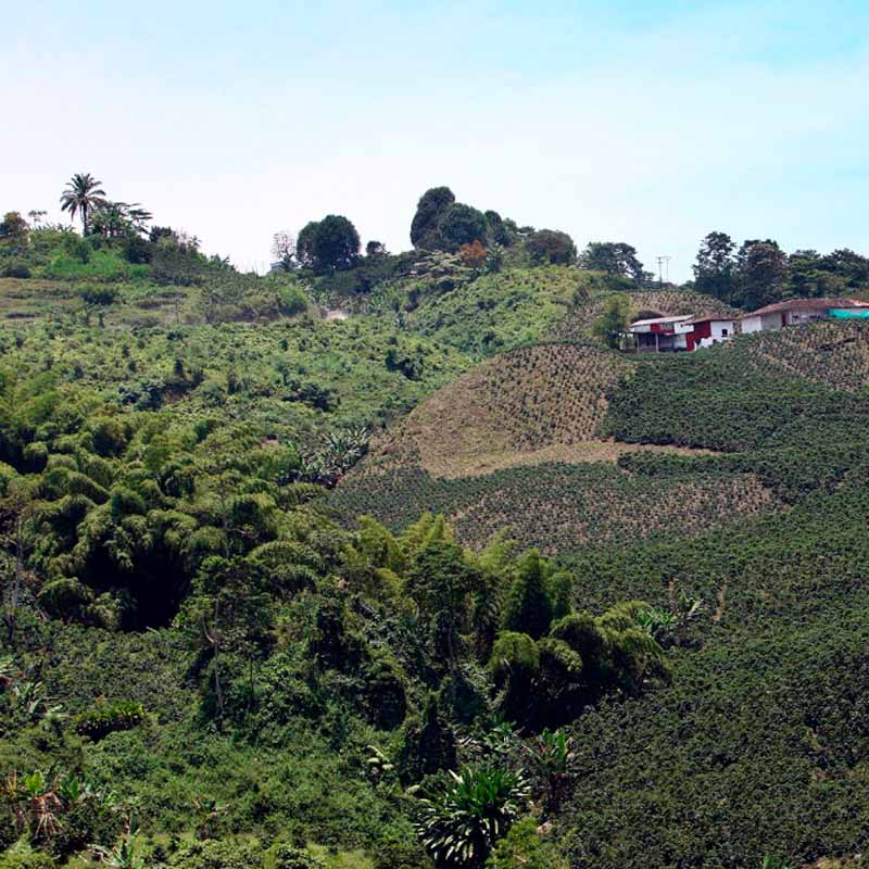 Colombia país sostenible