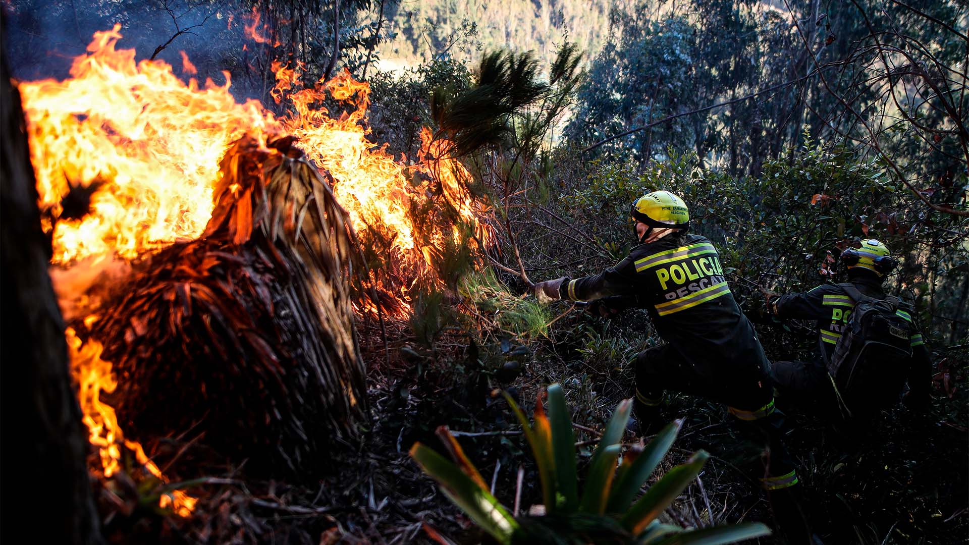 Fotos incendio Sopo - Especiales Semana