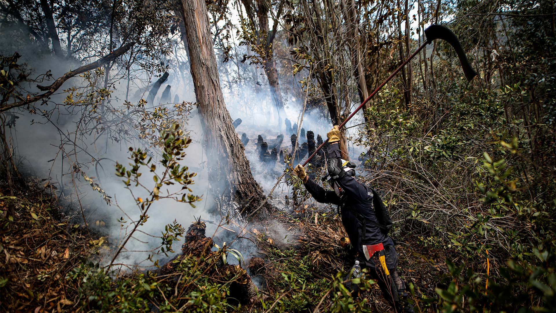 Fotos incendio Sopo - Especiales Semana