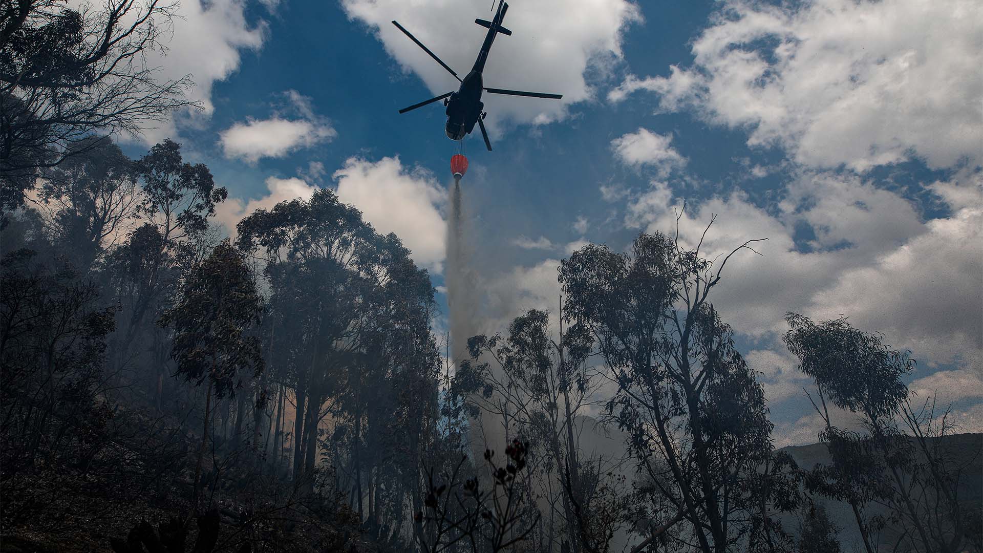 Fotos incendio Sopo - Especiales Semana