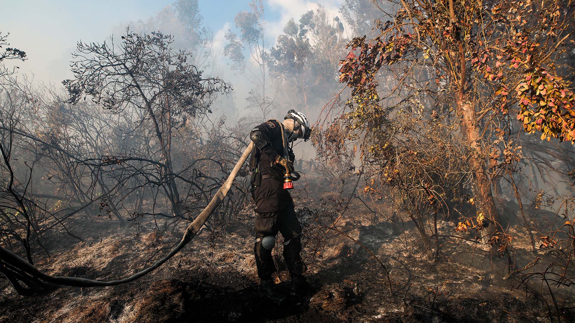 Fotos incendio Sopo - Especiales Semana