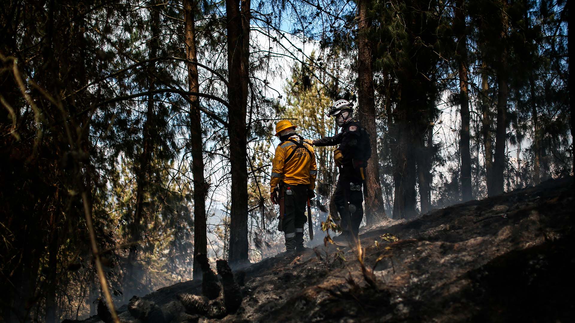 Fotos incendio Sopo - Especiales Semana