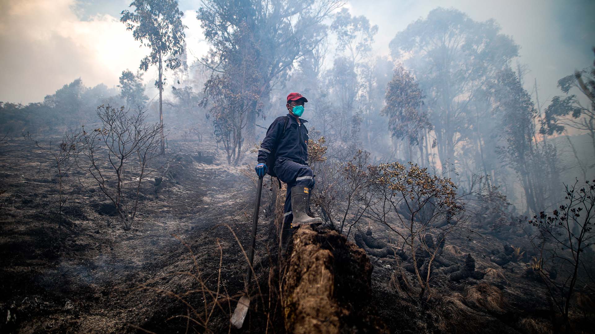 Fotos incendio Sopo - Especiales Semana