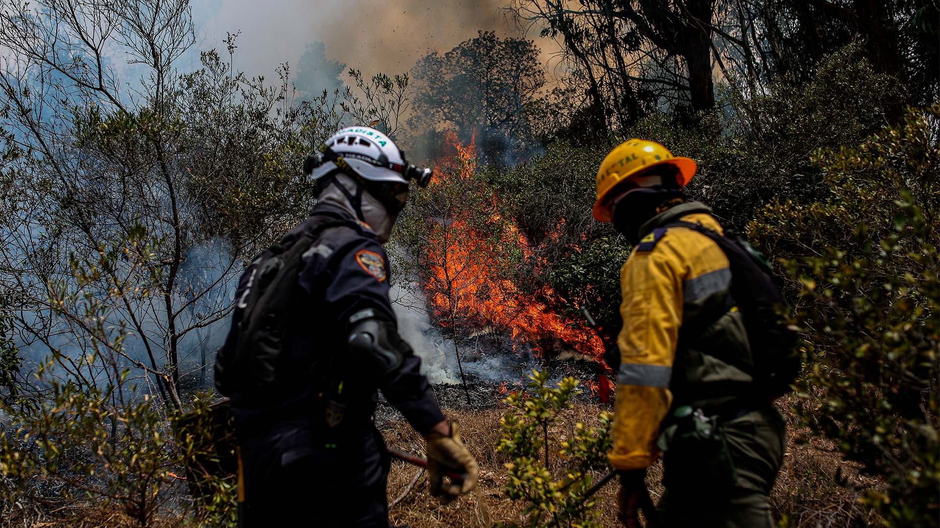 Fotos incendio Sopo - Especiales Semana