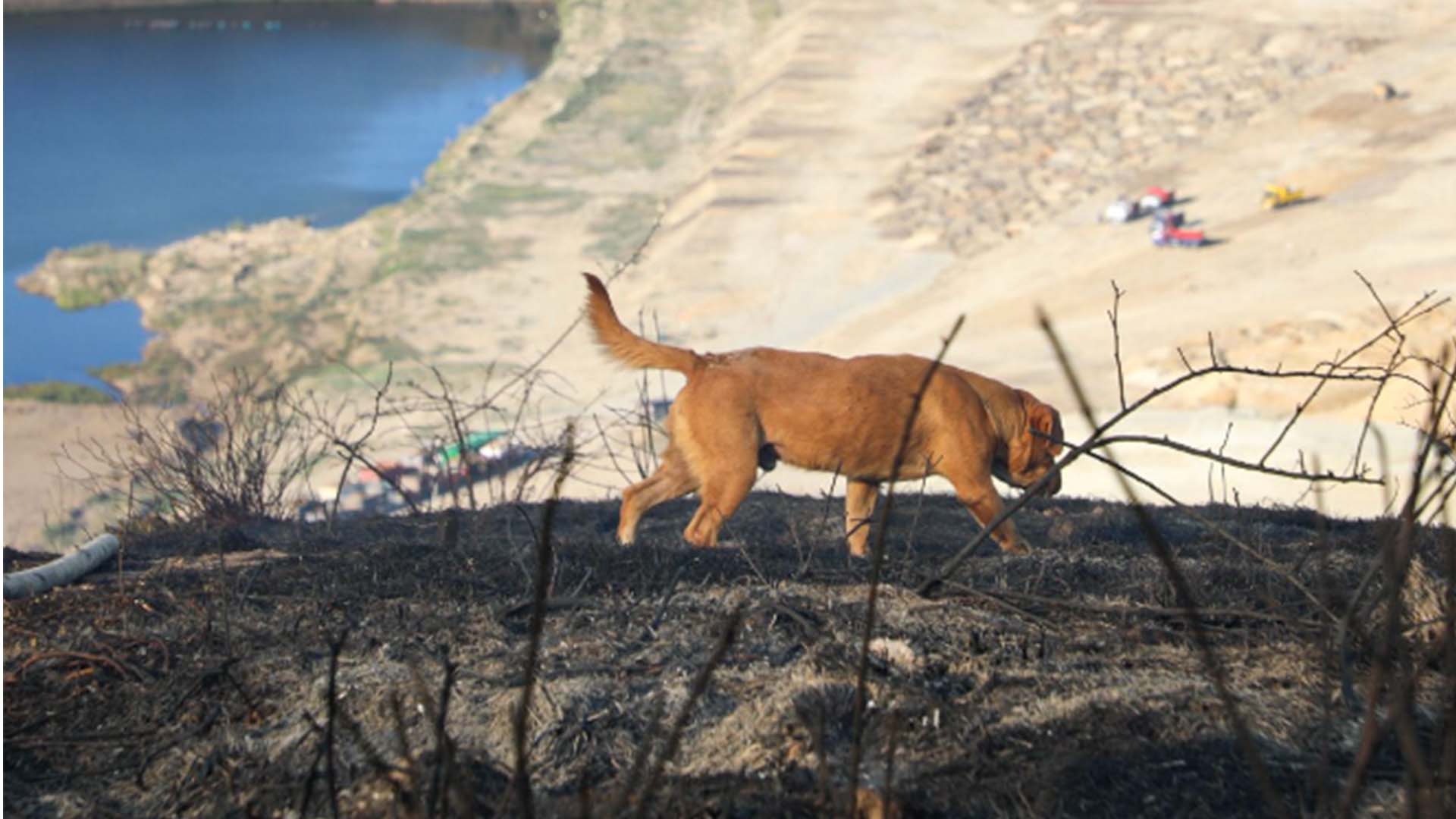 Colombia arde - Especiales Semana