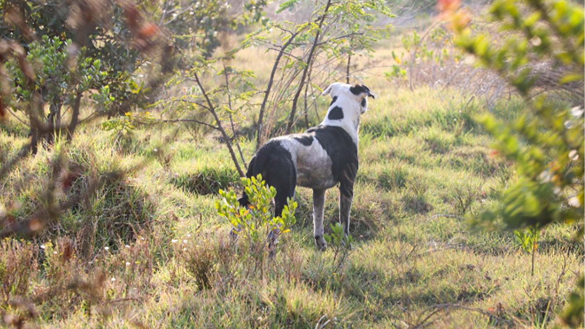 Colombia arde - Especiales Semana