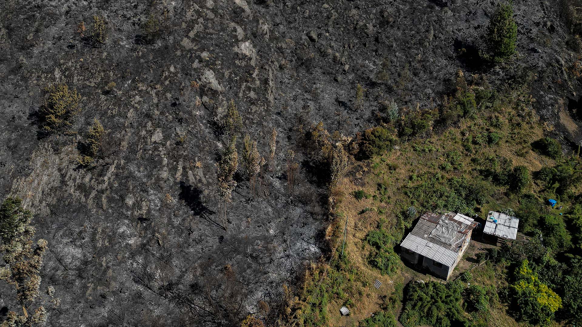 Colombia arde - Especiales Semana