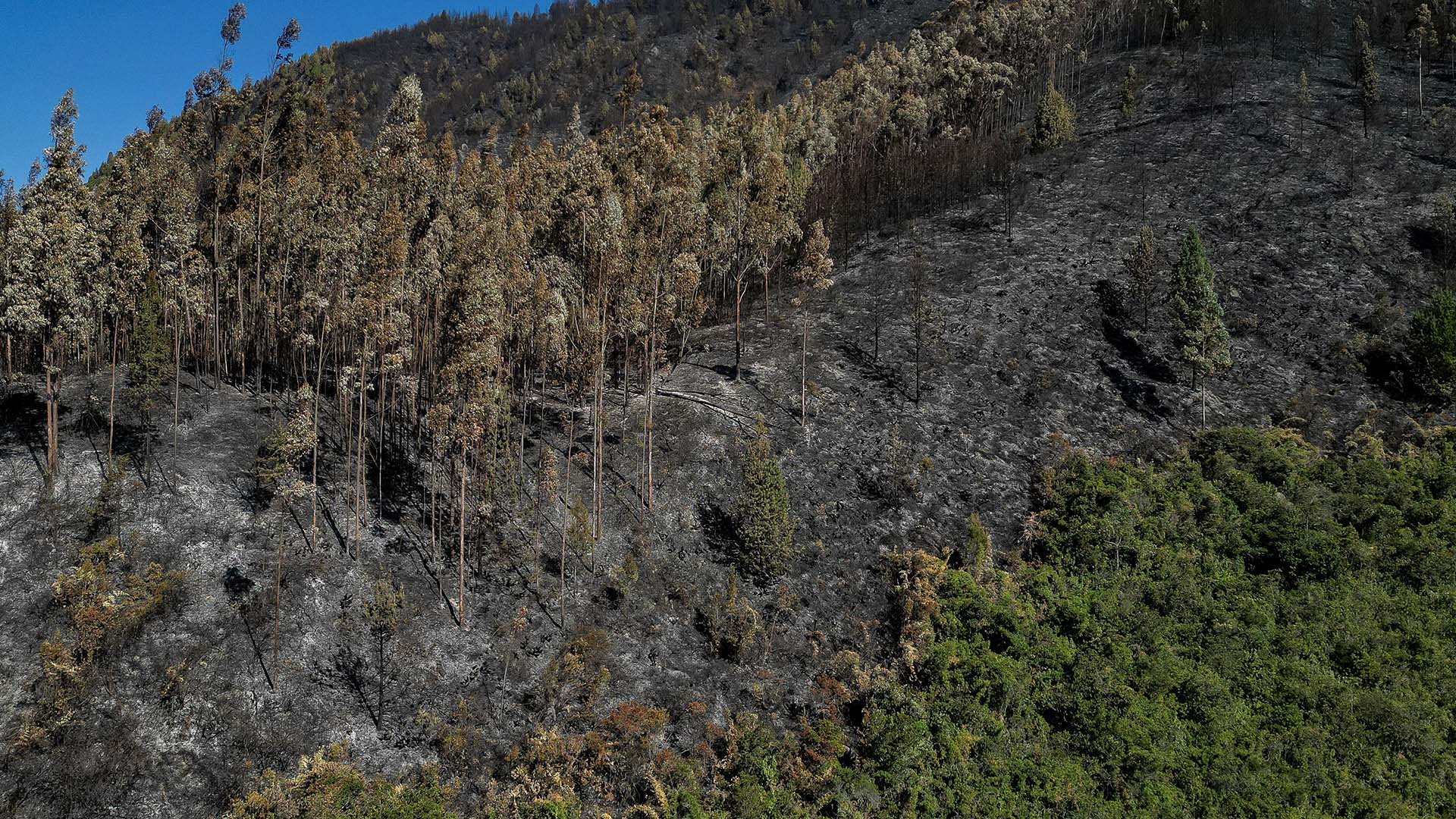 Colombia arde - Especiales Semana