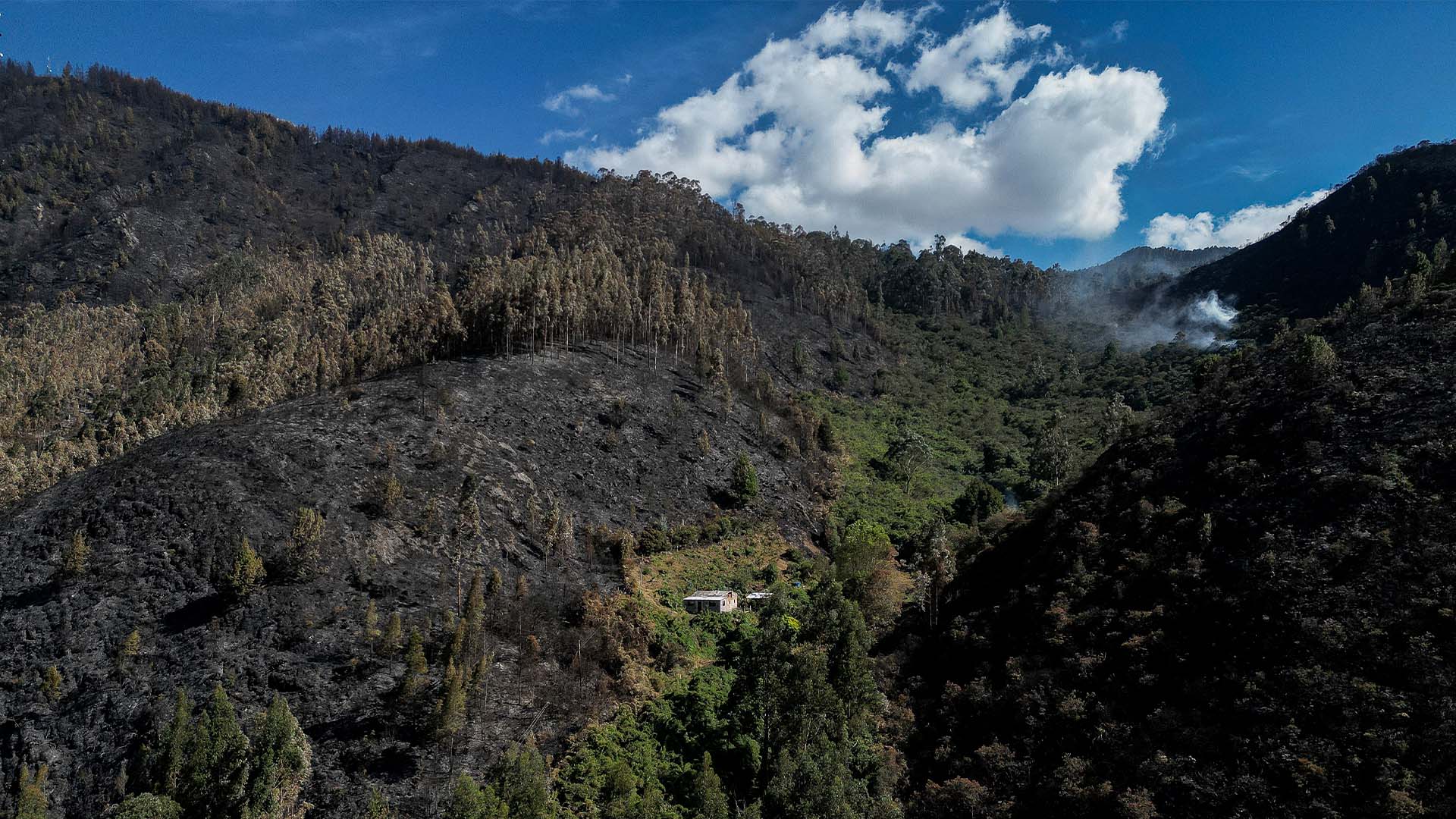 Colombia arde - Especiales Semana