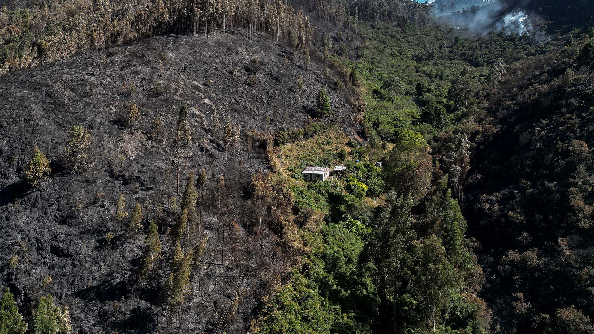 Colombia arde - Especiales Semana