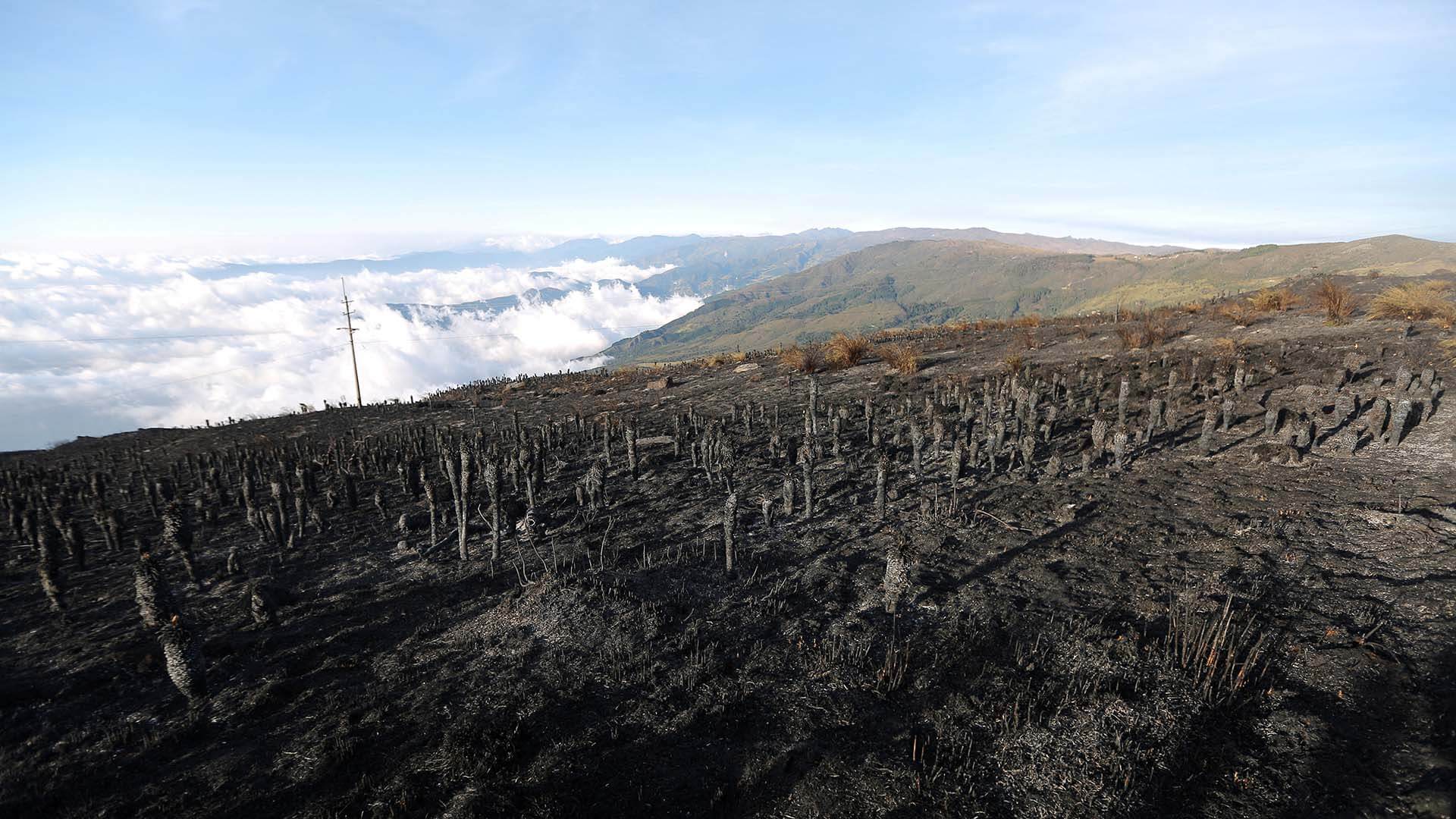 Colombia arde - Especiales Semana