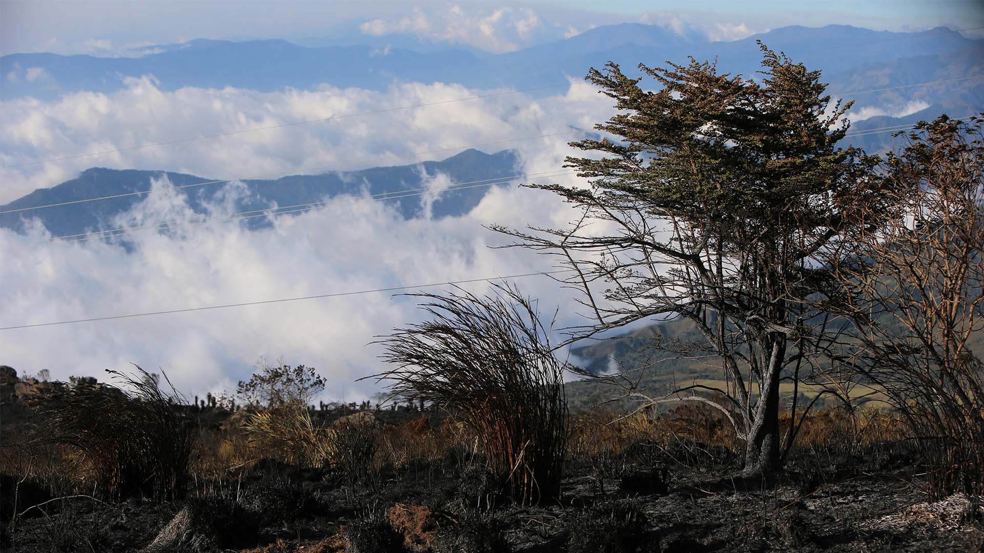 Colombia arde - Especiales Semana