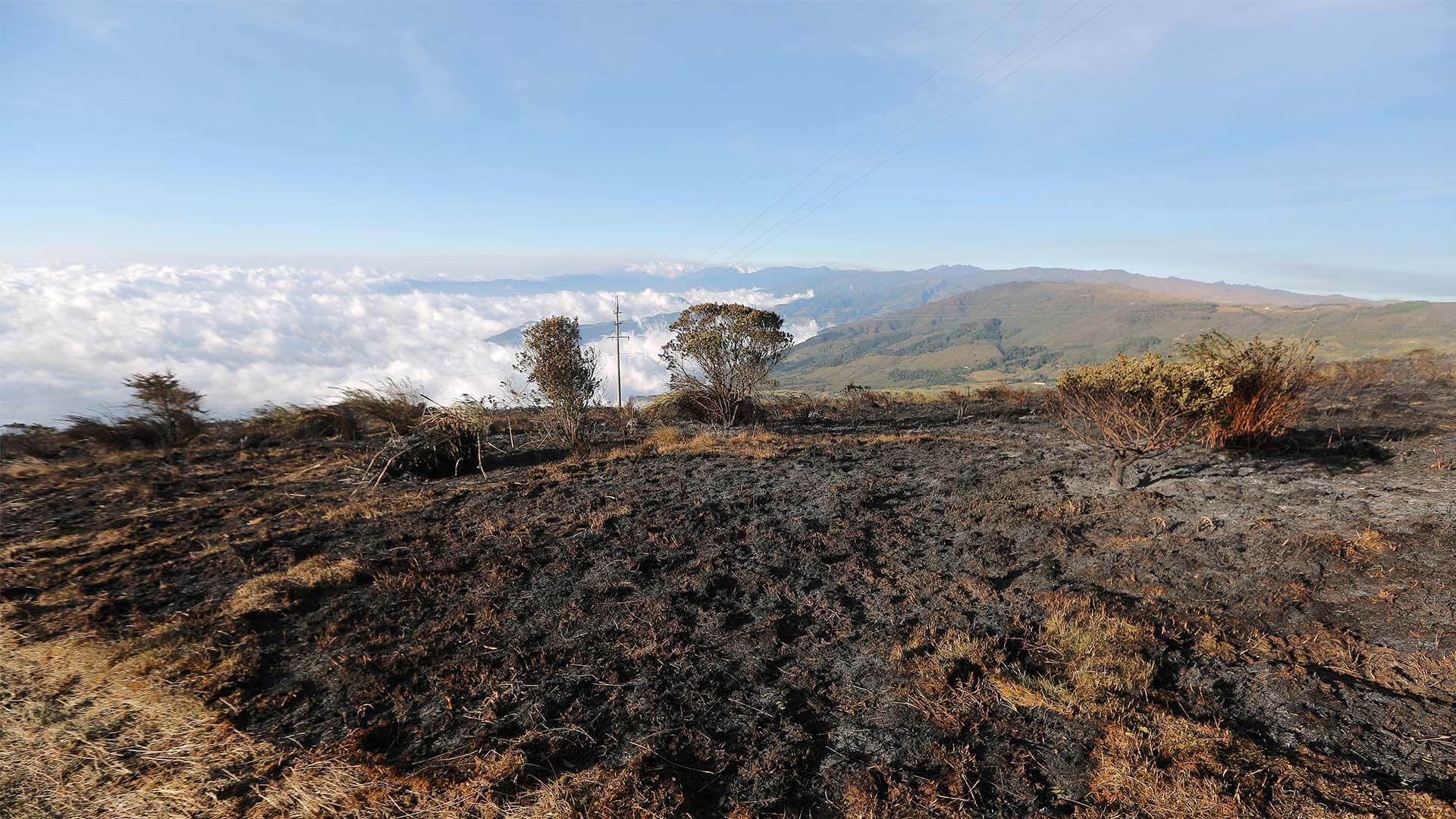 Colombia arde - Especiales Semana