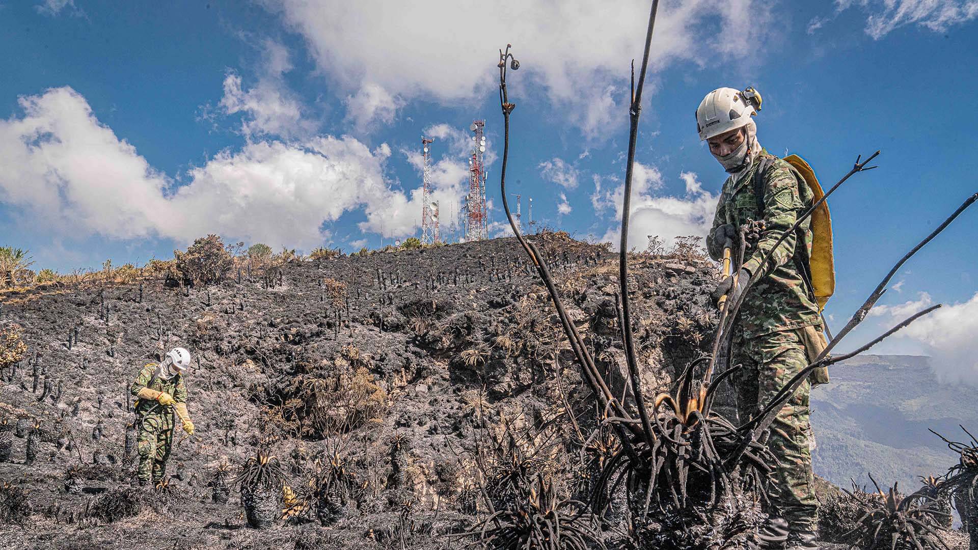 Colombia arde - Especiales Semana