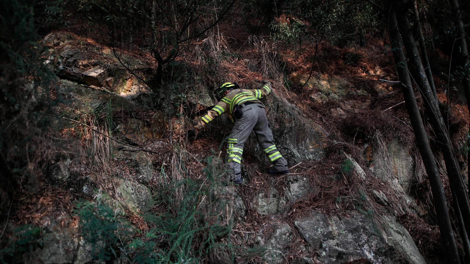 Colombia arde - Especiales Semana