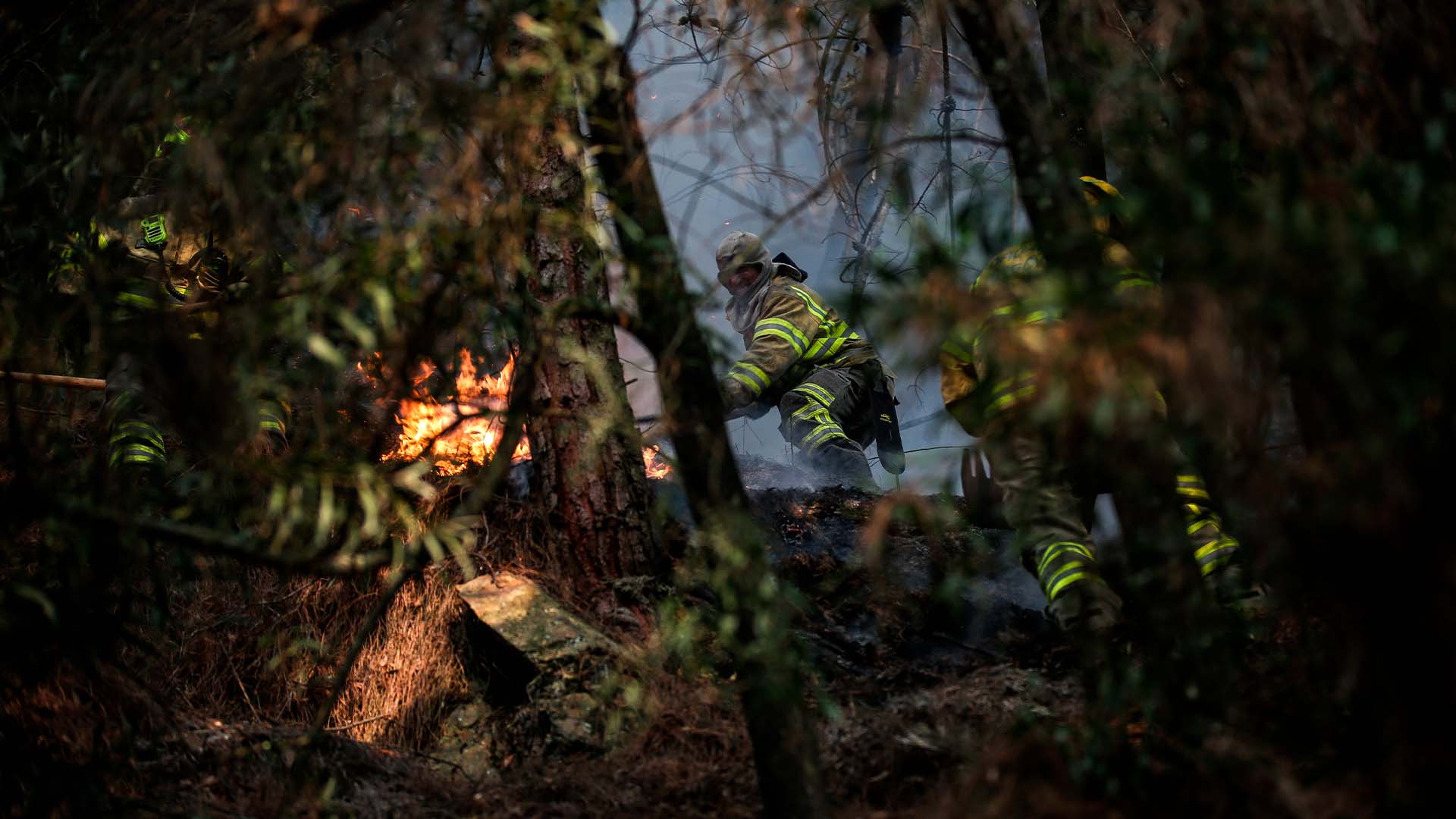 Colombia arde - Especiales Semana