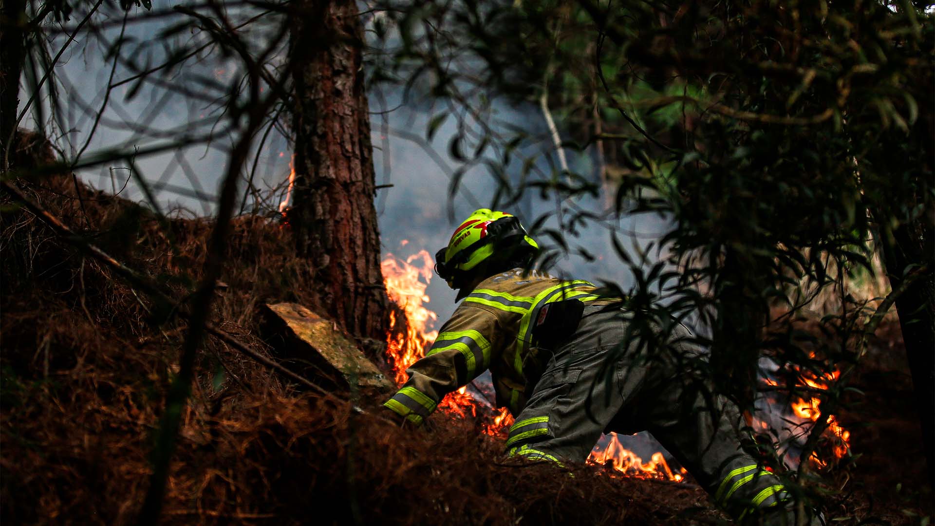 Colombia arde - Especiales Semana