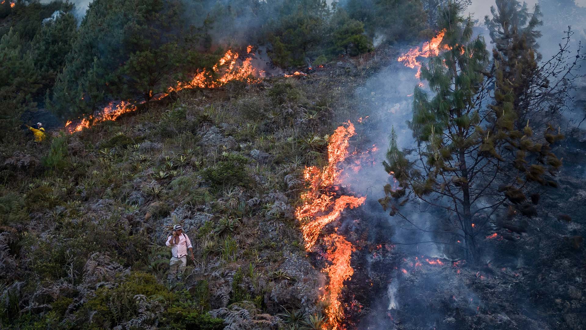 Colombia arde - Especiales Semana