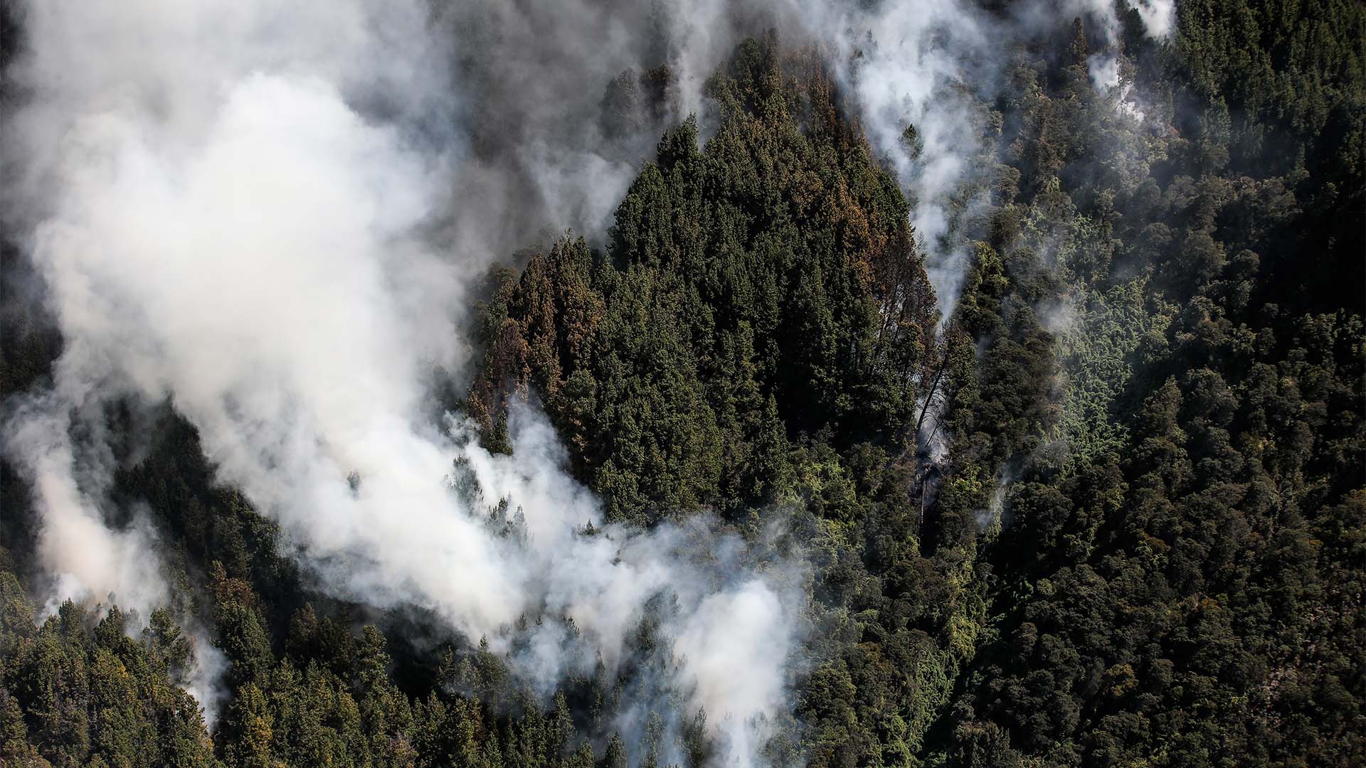 Colombia arde - Especiales Semana