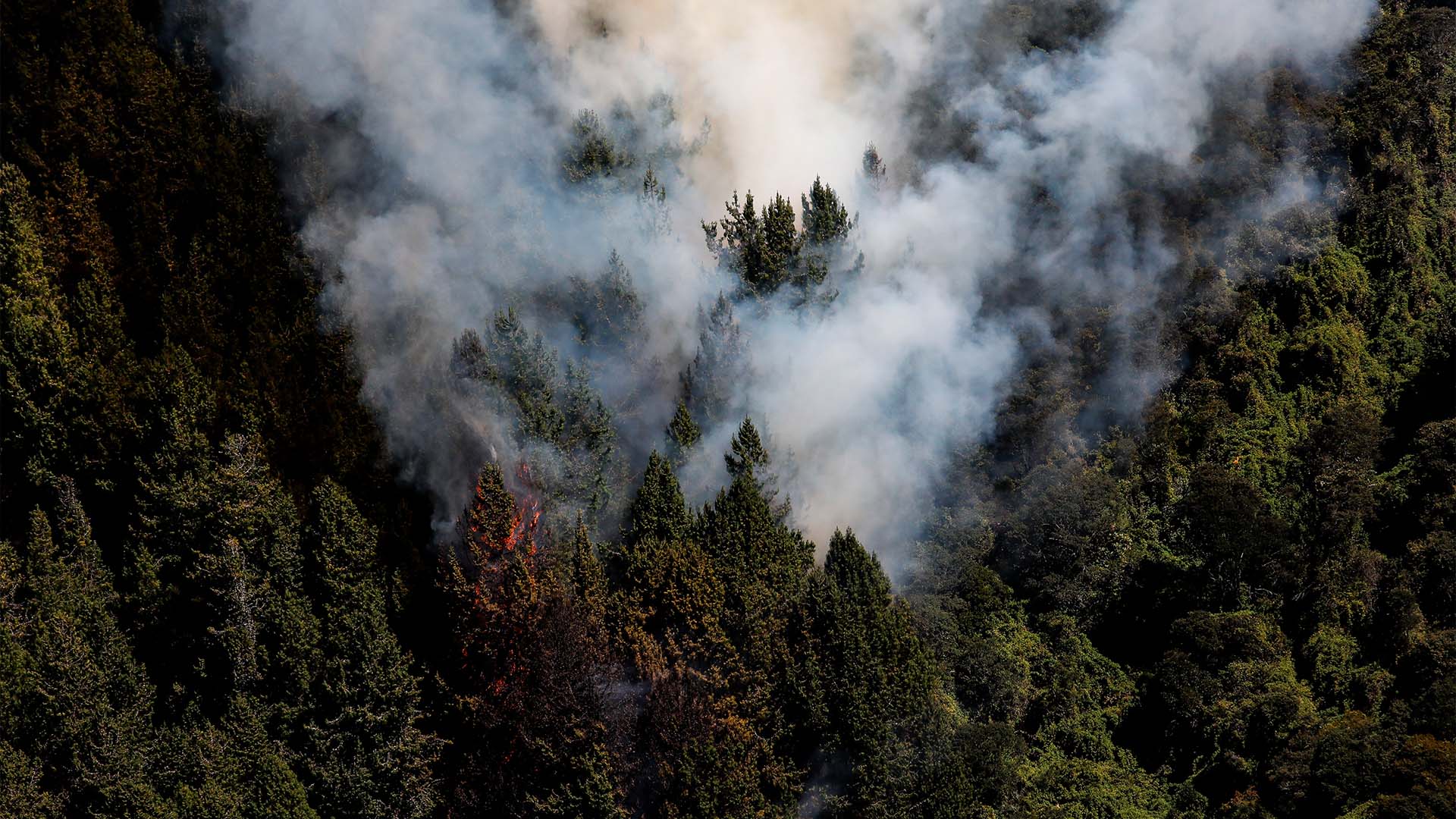 Colombia arde - Especiales Semana