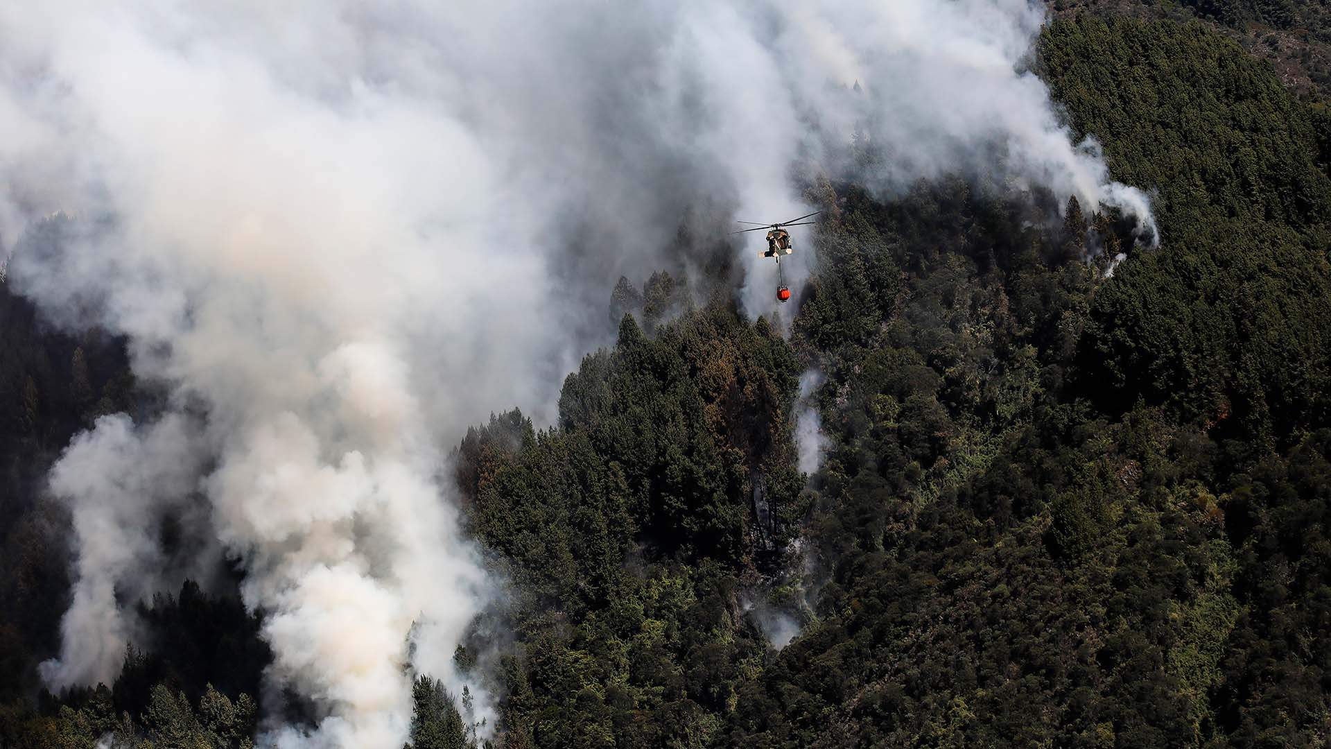 Colombia arde - Especiales Semana