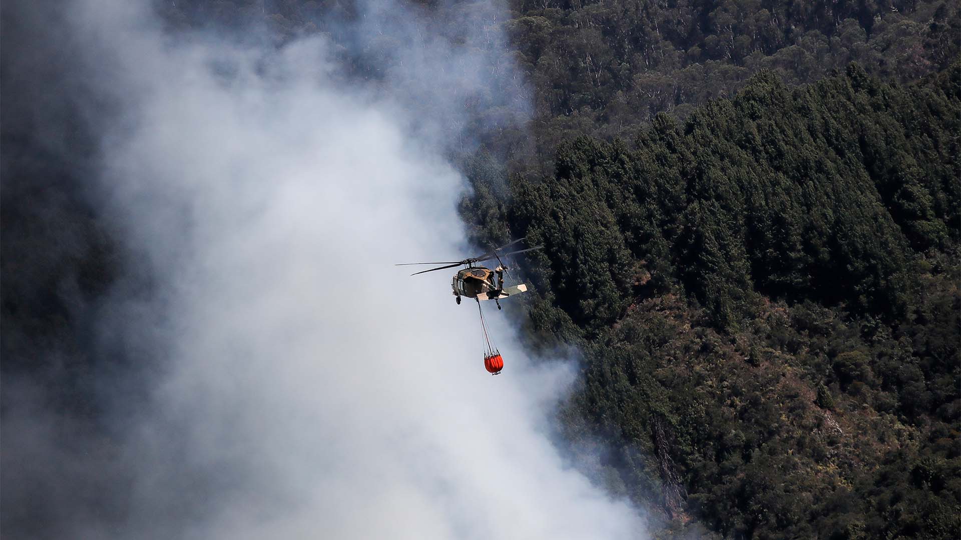 Colombia arde - Especiales Semana