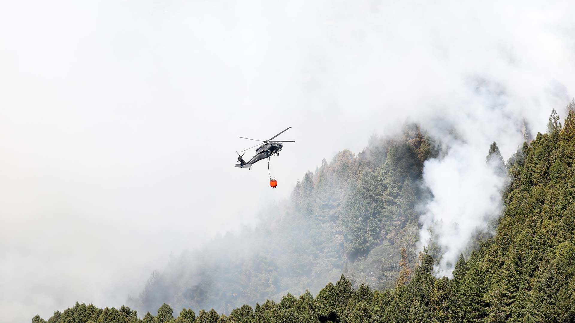 Colombia arde - Especiales Semana