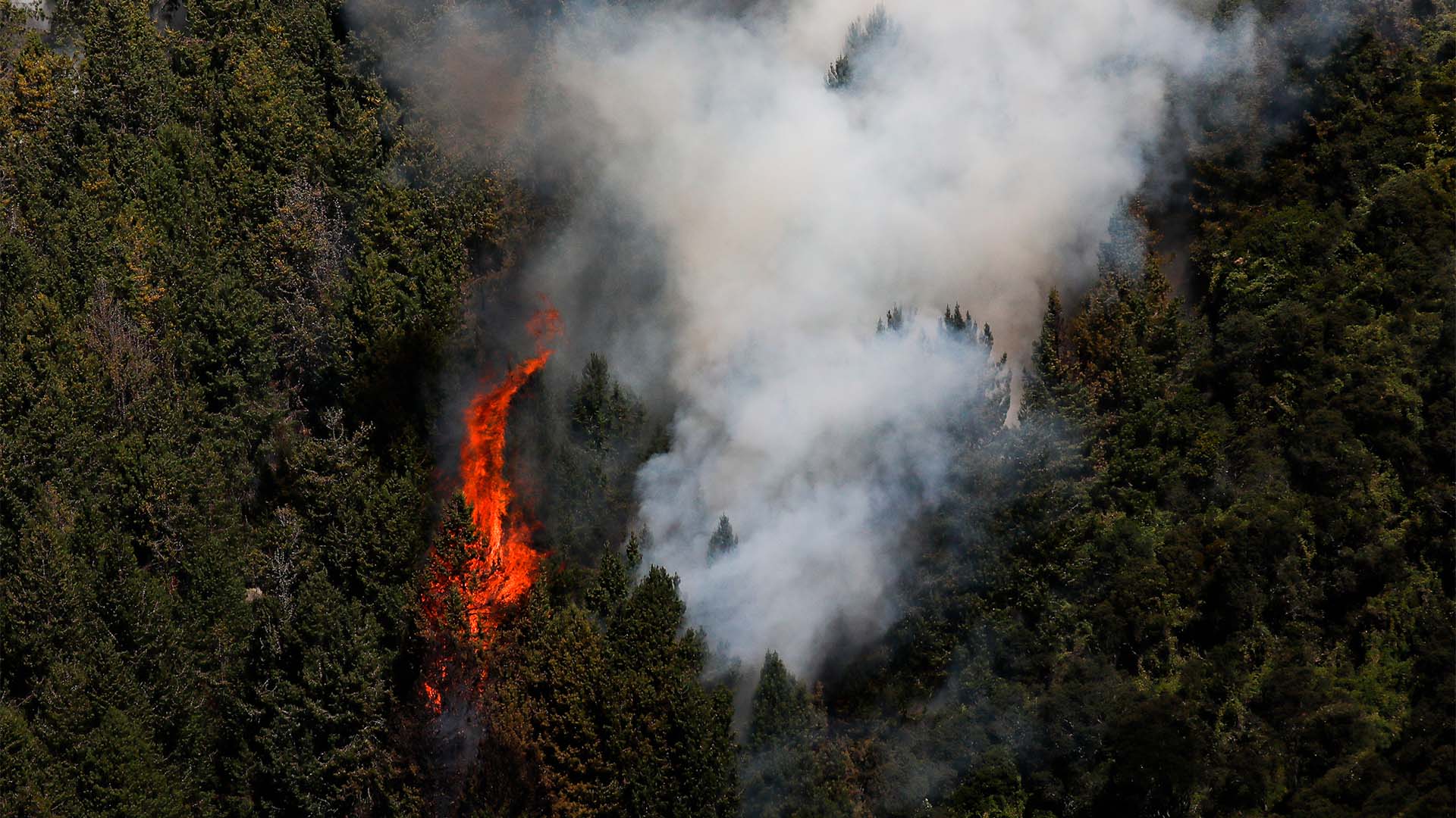 Colombia arde - Especiales Semana