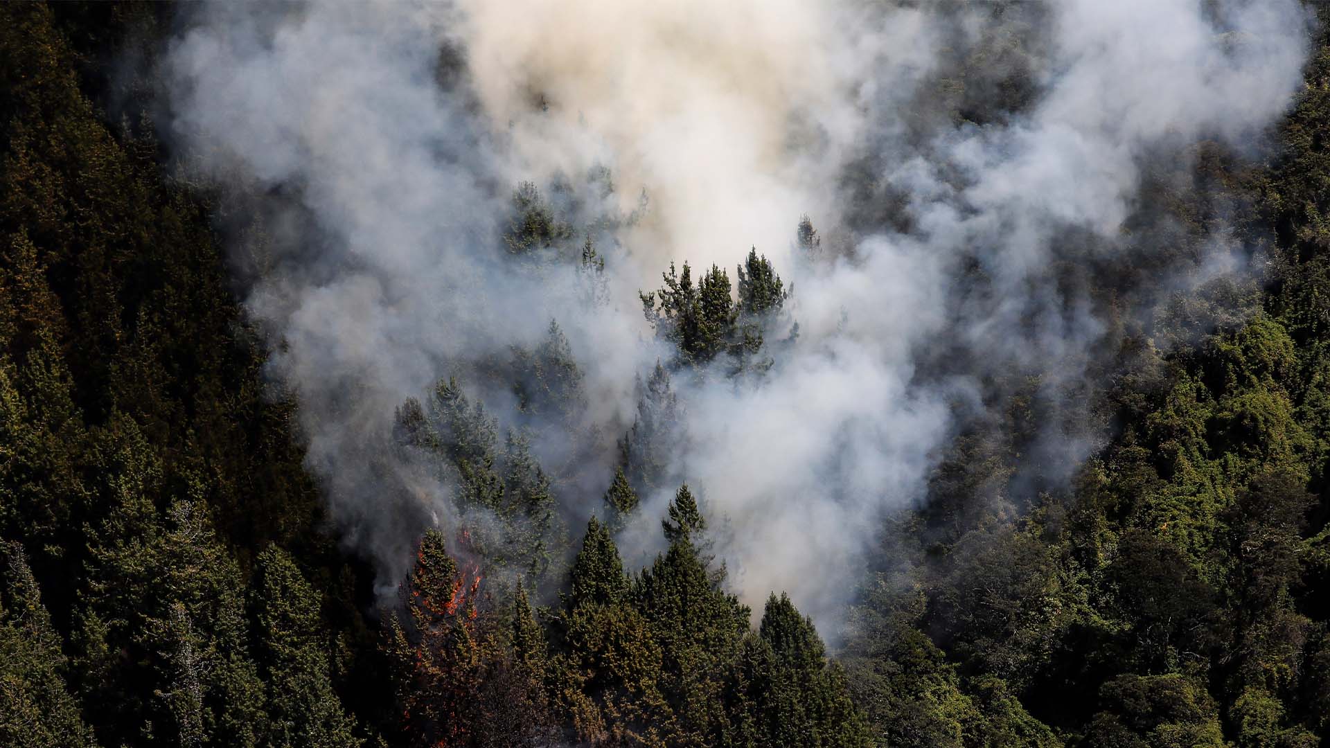 Colombia arde - Especiales Semana