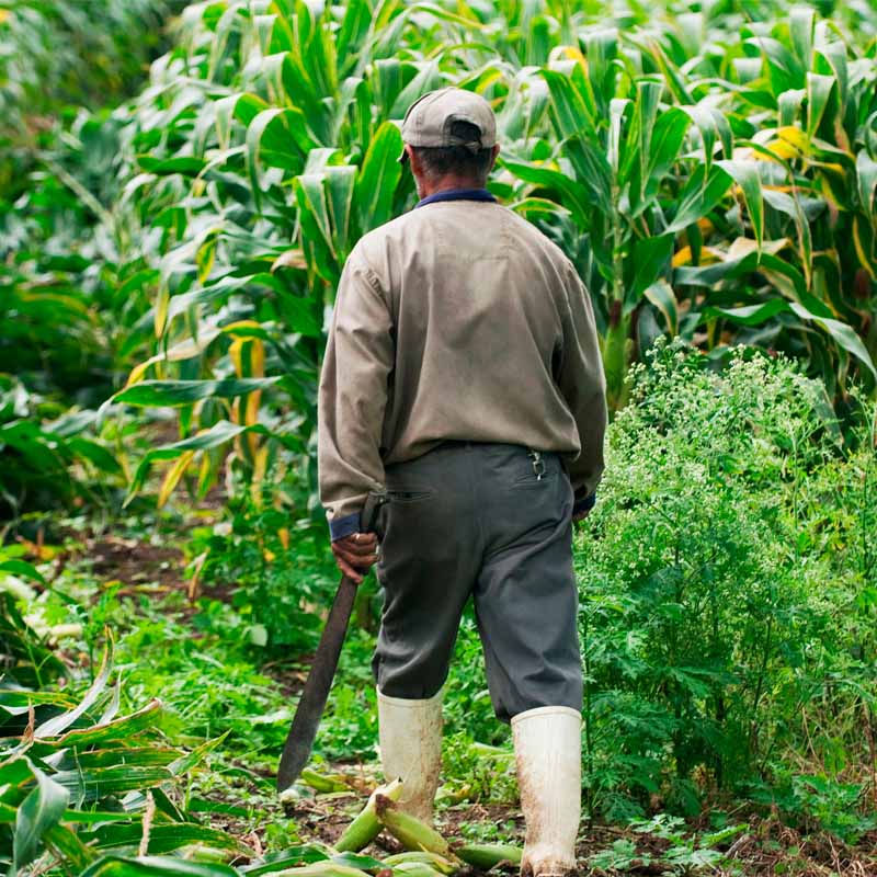 COP16: así será el impacto económico y social para Cali y el Valle del Cauca