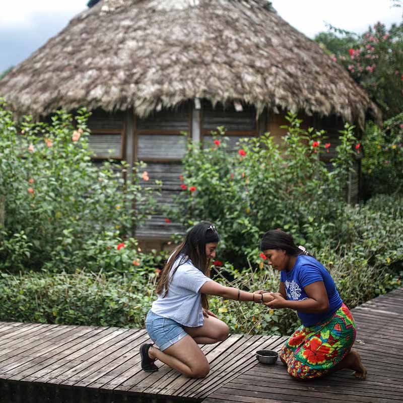 ¿Qué hace única a la selva de Nuquí? Descubra la magia del ecoturismo en este municipio - Especiales Semana