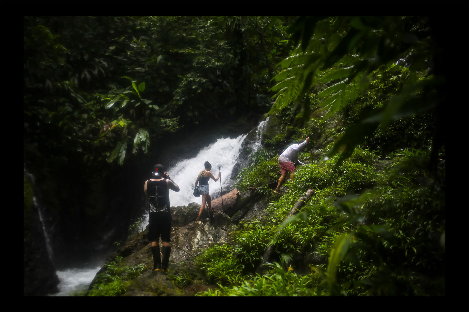 ¿Qué hace única a la selva de Nuquí? Descubra la magia del ecoturismo en este municipio