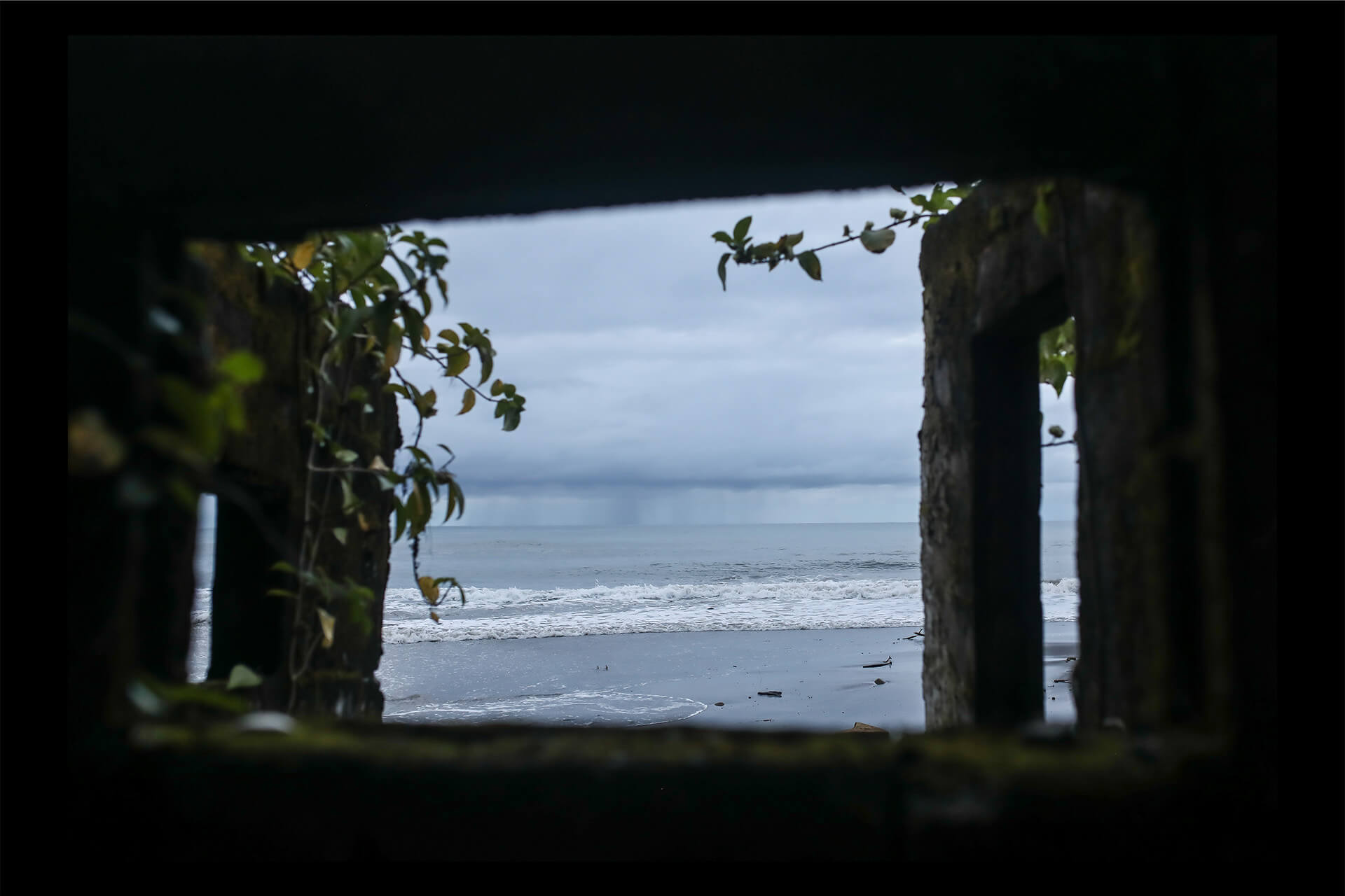 ¿Qué hace única a la selva de Nuquí? Descubra la magia del ecoturismo en este municipio