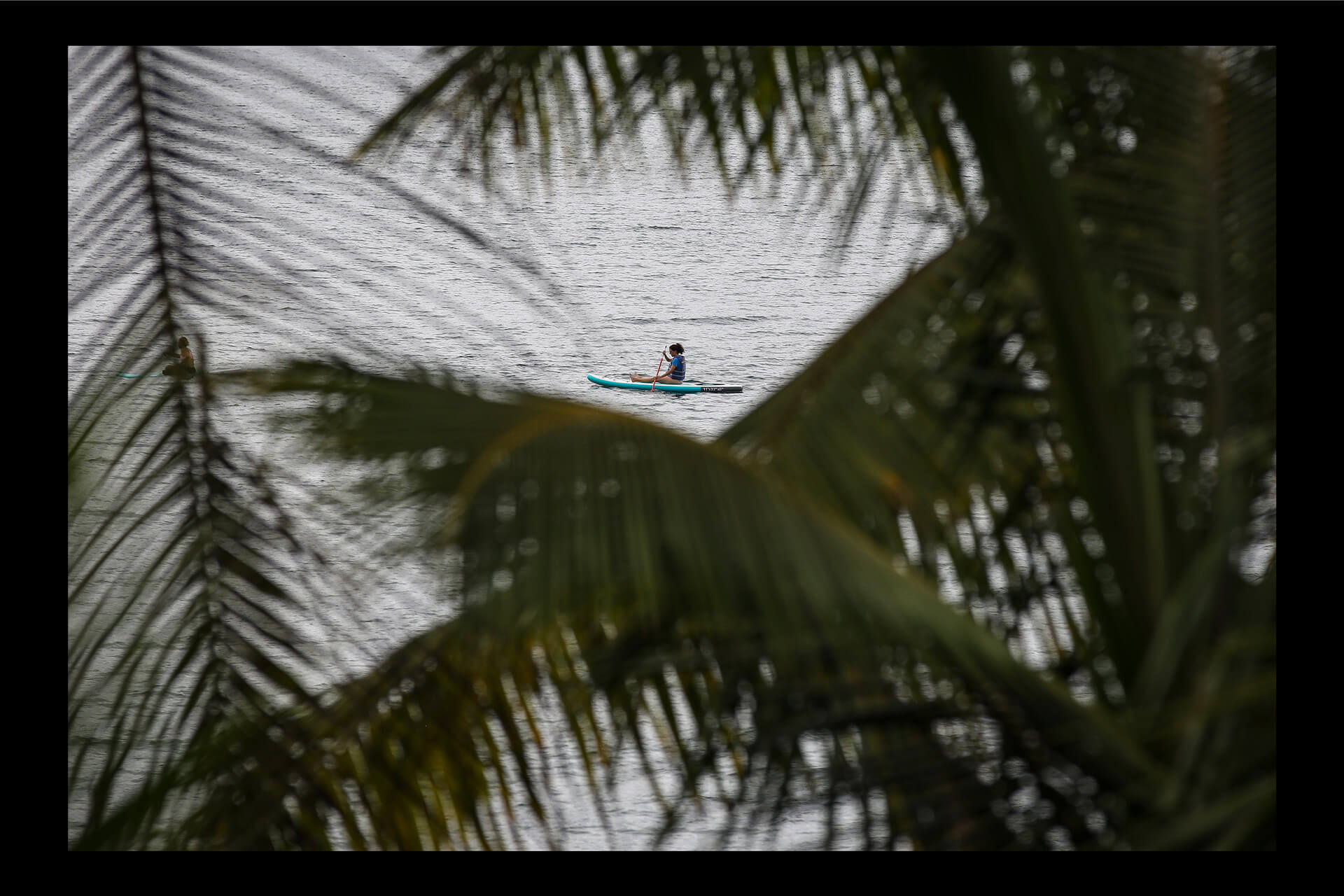 ¿Qué hace única a la selva de Nuquí? Descubra la magia del ecoturismo en este municipio