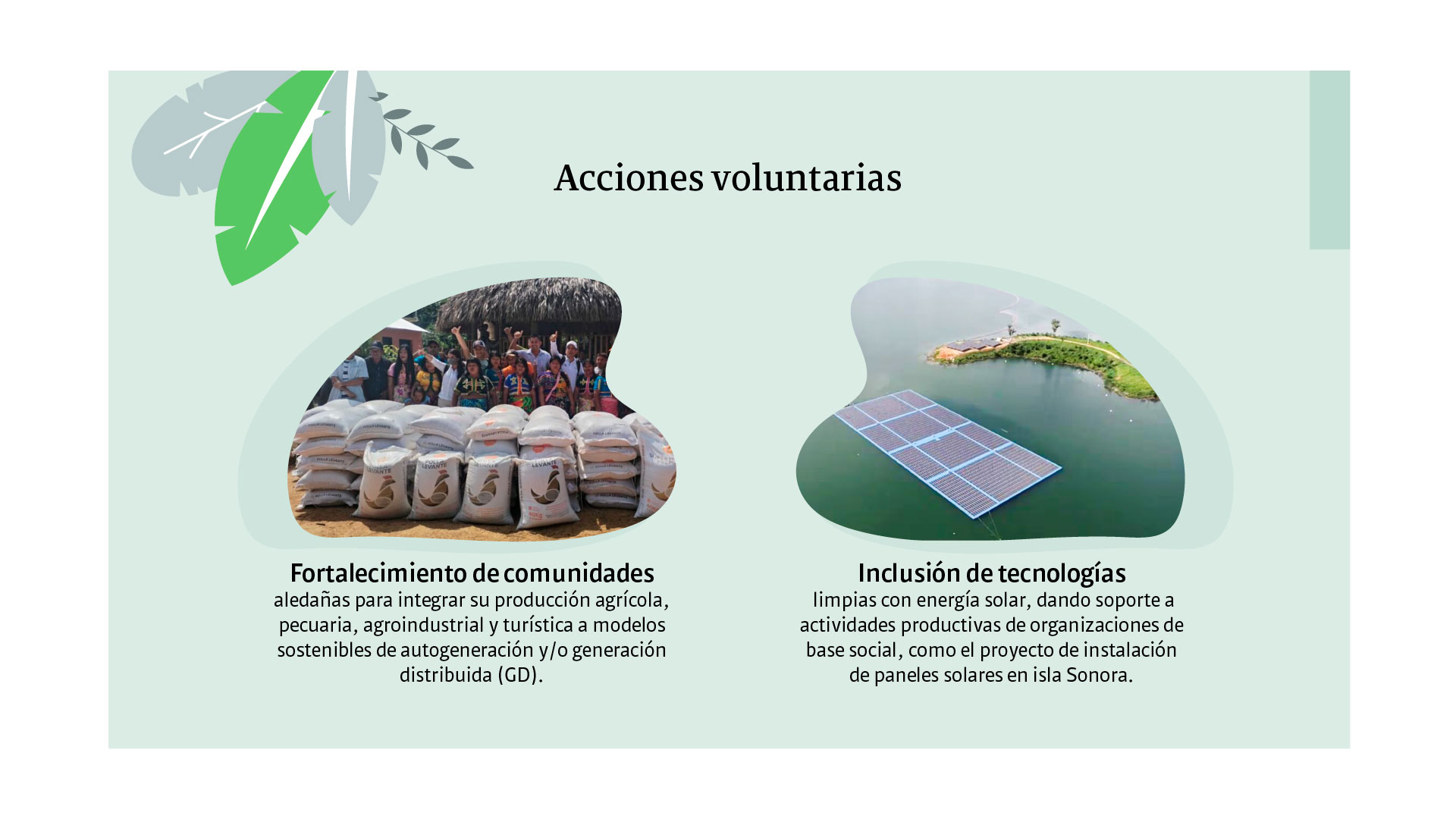 Esta empresa en Córdoba demuestra que sí es posible una energía amigable con el entorno