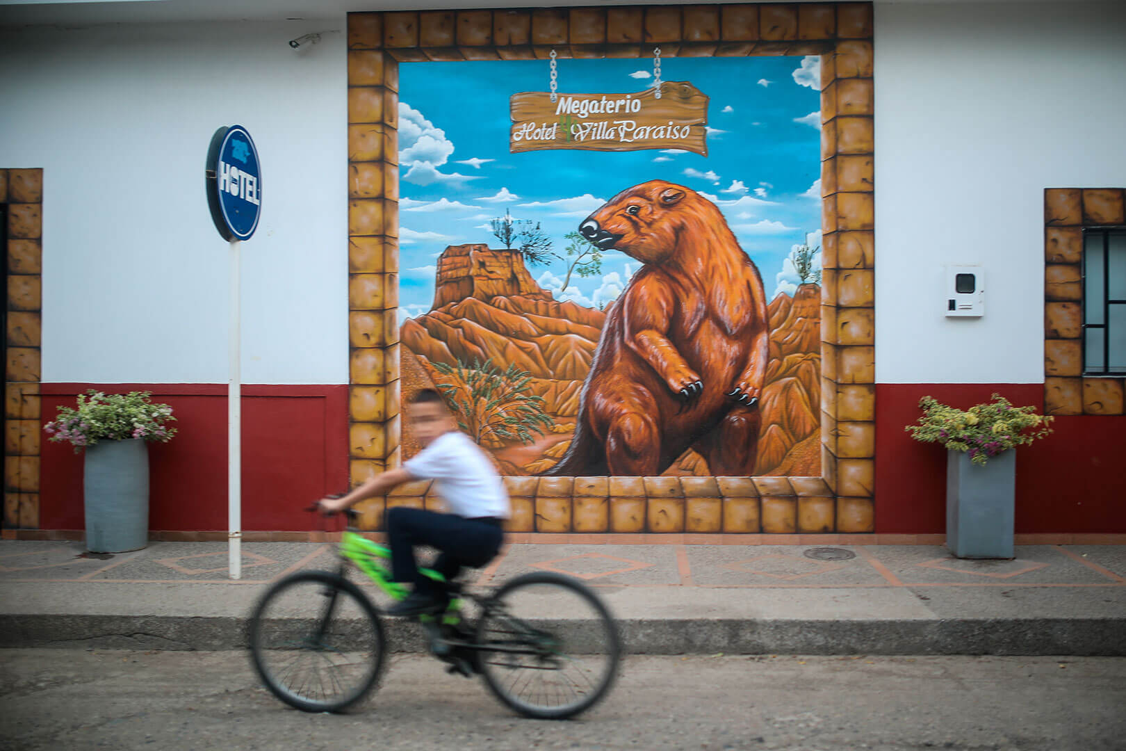 Fósiles fantásticos de Colombia: La importancia de narrar y describir el patrimonio paleontológico.