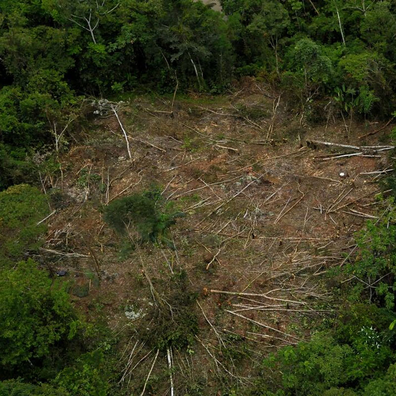 CAR: guardianes silenciosos de la biodiversidad