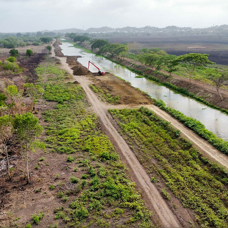 CAR: guardianes silenciosos de la biodiversidad