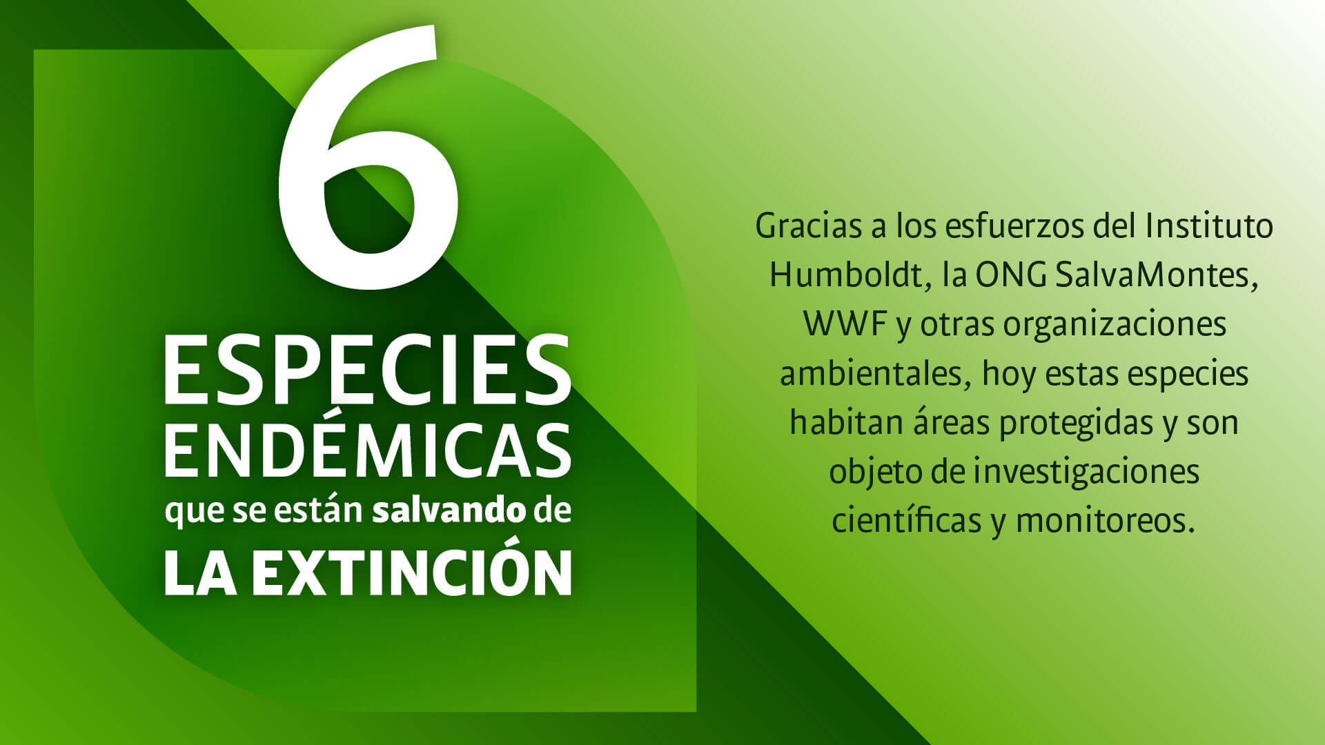 CAR: guardianes silenciosos de la biodiversidad - Especiales Semana