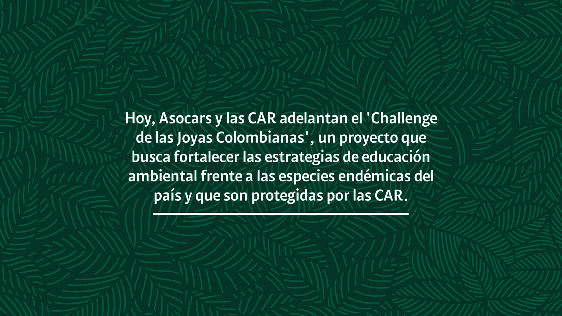 CAR: guardianes silenciosos de la biodiversidad - Especiales Semana