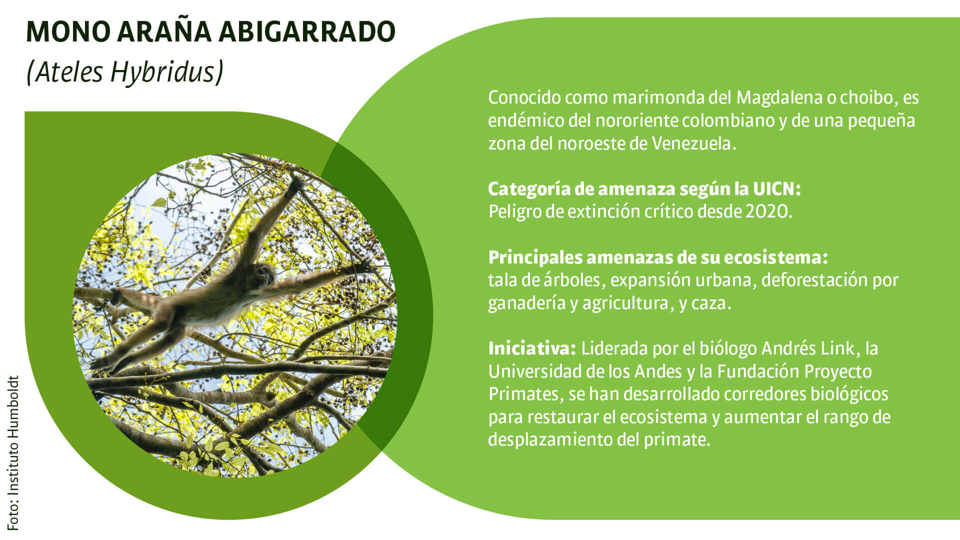 CAR: guardianes silenciosos de la biodiversidad - Especiales Semana