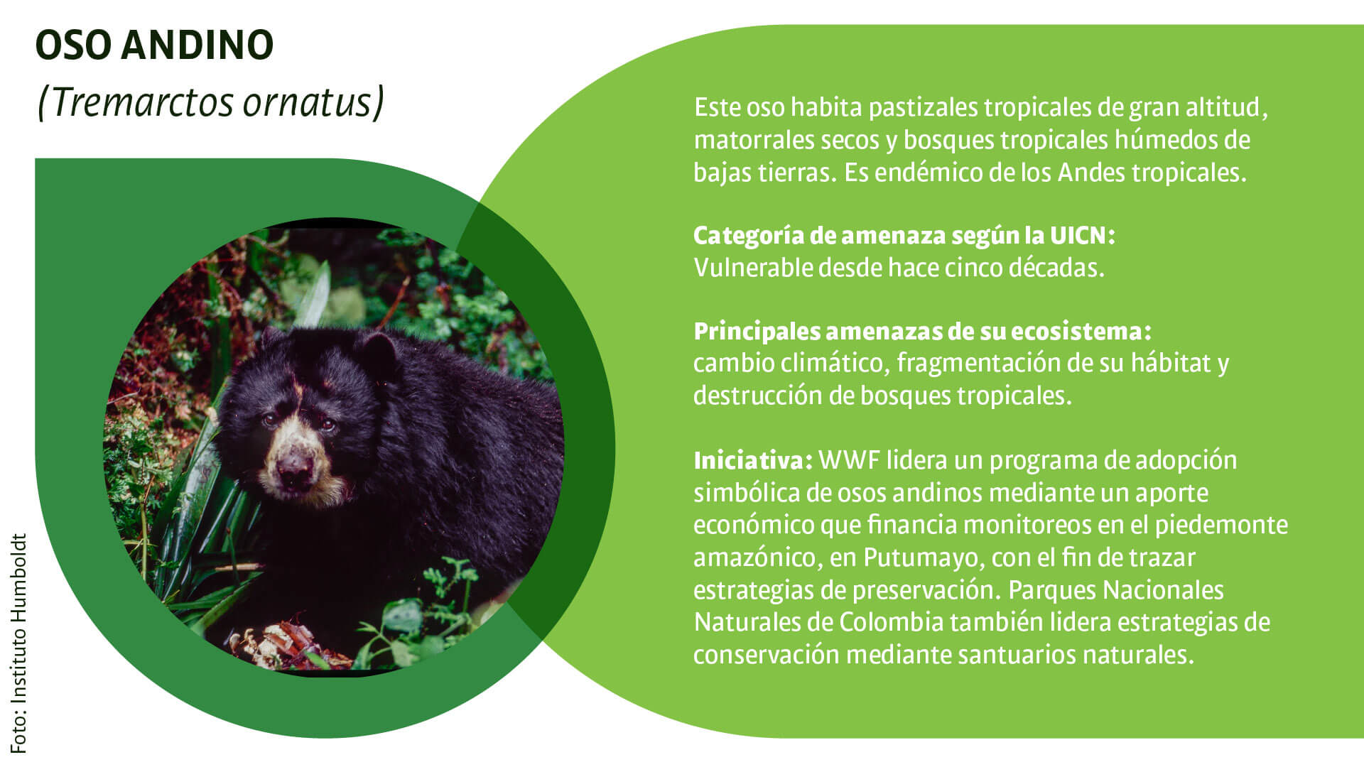 CAR: guardianes silenciosos de la biodiversidad - Especiales Semana