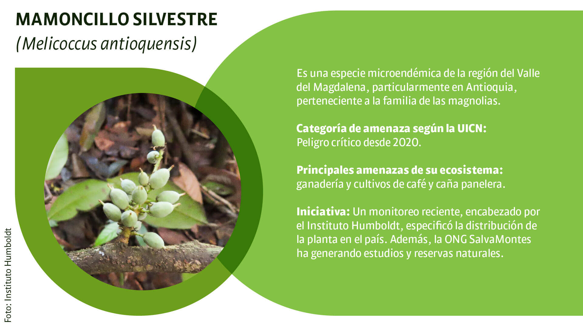 CAR: guardianes silenciosos de la biodiversidad - Especiales Semana