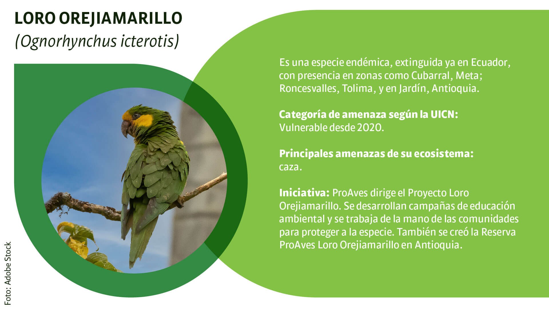 CAR: guardianes silenciosos de la biodiversidad - Especiales Semana