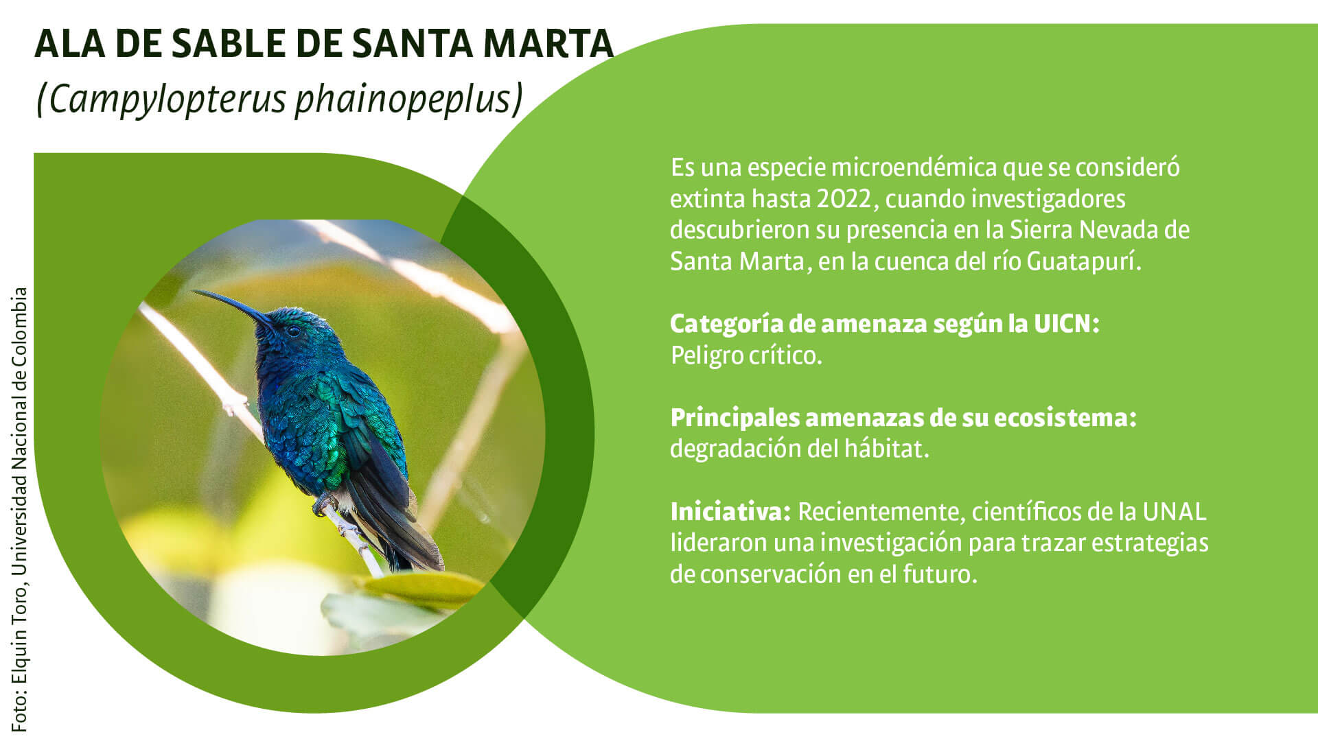 CAR: guardianes silenciosos de la biodiversidad - Especiales Semana
