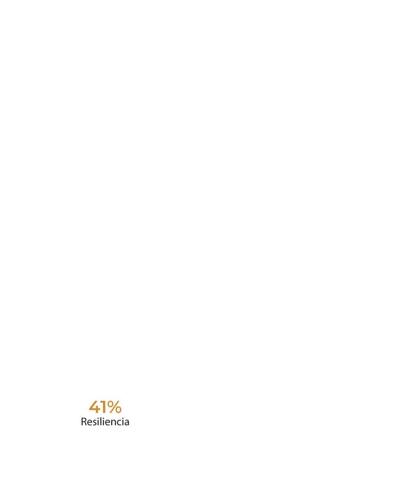Etapa 06