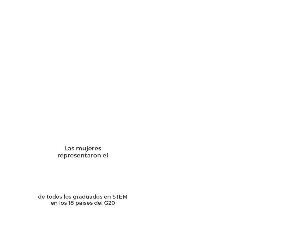 Etapa 05