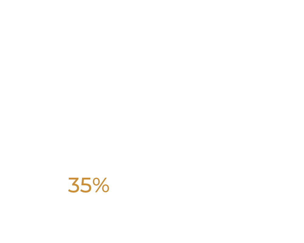 Etapa 06