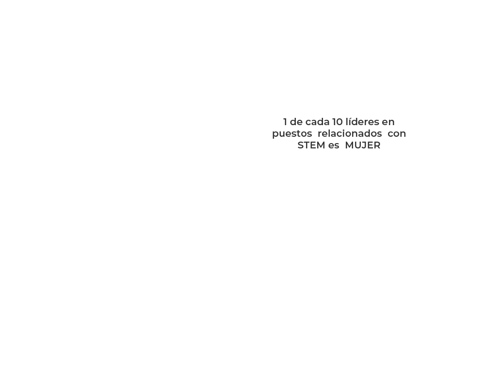 Etapa 09